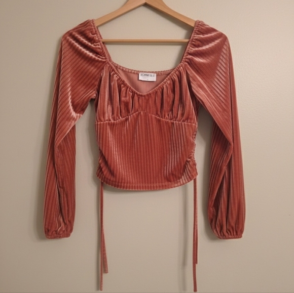 Sophie Rue Ribbed Velvet Cropped Top - Picture 2 of 3